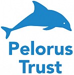 Pelorous Trust