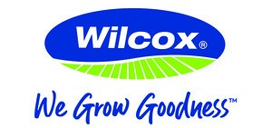 A S Wilcox Limited 