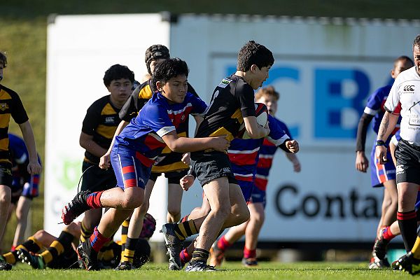 Counties Manukau celebrates growth in the community game